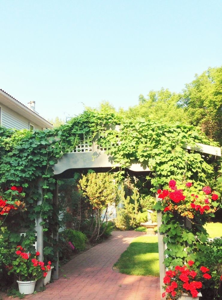 Mcdougall Lane Bed & Breakfast Bed & Breakfast Drumheller Exterior photo